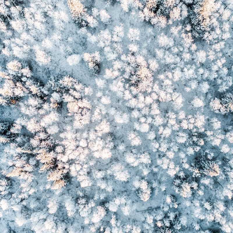 ❄️🌲 #photo #photos #pic #pics #allinvision #picture #pictures #snapshot #art #beautiful #instagood #picoftheday #photooftheday #color #all_shots #exposure #composition #focus #capture #moment #hdr #avi #viktorohlin #dji #hasselblad #drone #hdr_lovers #awesome_hdr