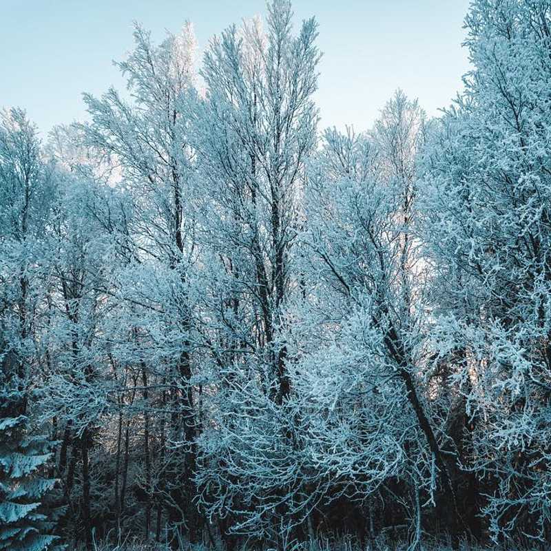 Frozen landscape #naturephotography #beautifuldestinations #landscape #åre #photo #winter #ice #frozen #cold #viktorohlin #aiv #allinvision #november #view