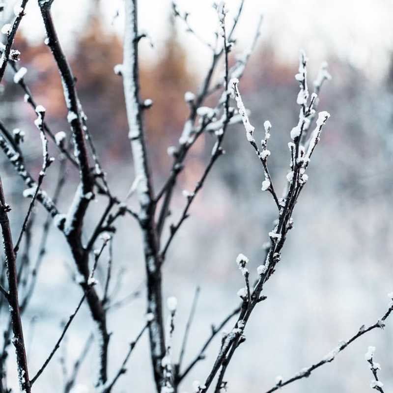 #photo #photos #pic #pics #allinvision #picture #pictures #snapshot #art #beautiful #instagood #picoftheday #photooftheday #color #all_shots #exposure #composition #focus #capture #moment #hdr #avi #viktorohlin #dji #hasselblad #drone #hdr_lovers #awesome_hdr