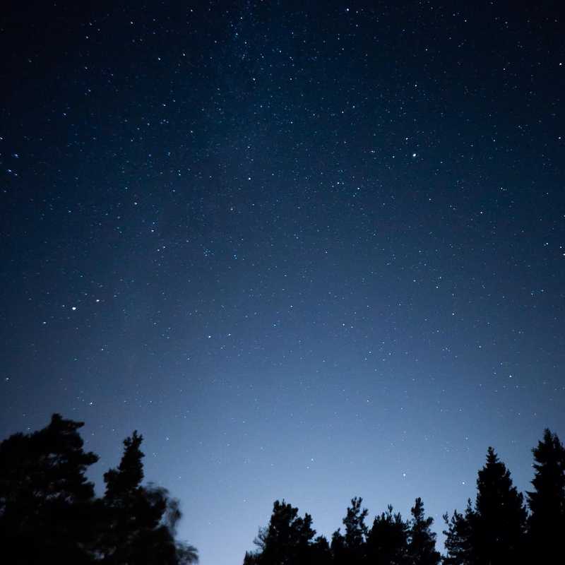 Starry knights #nature #photography #astro #night #stars #sky #blue #trees #color #longexposure #magic #lifestyle