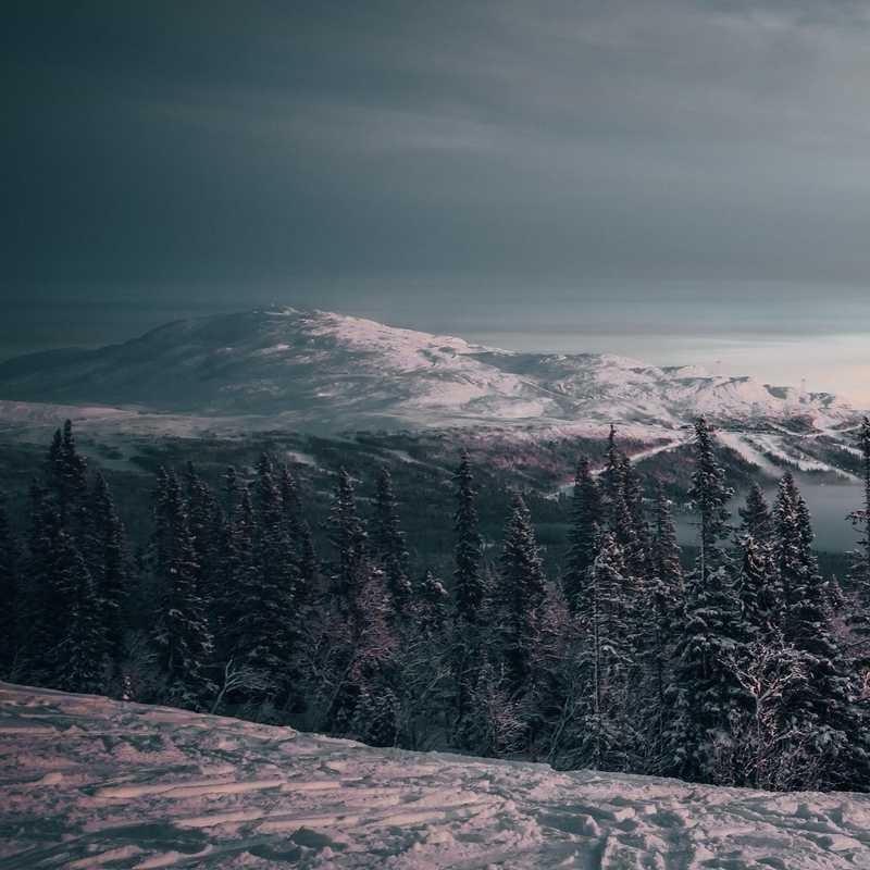 Idag igen!? #duved #tegefjäll #åre #north #jämtland