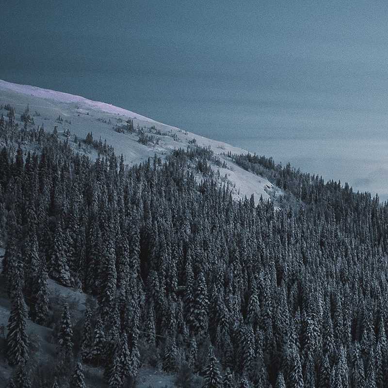 🏔🛸 #åre #duved